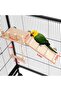 Wooden Bird Perches,Platform Swing,Climbing Ladder,Sturdy Exercise Toy for Small Birds - 6