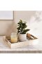 Alford Wooden Decor Tray 40x30x6cm - Natural
