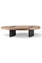 Delger Coffee Table Veneer - Brown & Black - 6