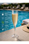 Flute Champagne Glass, 180 Ml, Polycarbonate, Transparent - 2