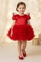 Baby Girl Birthday Party Wedding Dress Tulle Tutu Lined Children's Clothing Baby Clothing Elbyknt - 3