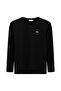 Crew Neck Regular Fit Embroidered Basic Thin Sweatshirt - 5