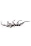 1 pack 5Pcs Dental Ultrasonic Scaler Tip Scaling Periodontics Endodontics Fit EMS Woodpecker Teeth W - 5