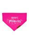 Mommys Cat And Dog Princess Leash Scarf Bandana - 3