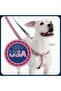 2 Hounds Design - Freedom No-Pull Harness And Leash - Black/Medium 1" - 6