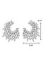 Silver Color Zircon Stone Design Earrings Acr0366 - 3