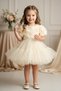 Baby Girl Birthday Party Wedding Dress Short Sleeve Rose Bow Tulle Tutu Lined - 5