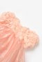 Salmon Rose Appliqued Tulle Skirt Baby Girl Dress - Fallon - 4