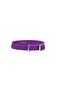 Flex Cat Collar - Violet - 2