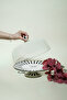 Papillon Enamel Cake Dish with Stand and Lid for Cake Presentation