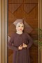 Plus Size Sarmaşik Stone-Embellished Mother Dress - 3