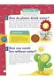 Om-how Ecosystem And Earth? - 3