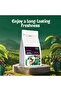 Robusta Coffee Blend – Medium Roast (Whole Beans) 1KG | Balanced & Full-Bodied, Freshly Roasted in Dubai - 4