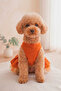 New Season Tutu Light Structure Female Dog Clothes - 6
