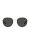 PLD 4135/S/X GOLD GREY for MAN Sunglasses 54 mm - 3