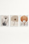White Wooden Framed 3 Piece Set Painting Huhu481