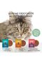 Born Carnivore Grain Free Oven Baked Dry Cat Herring & Salmon 1.25Kg - 8
