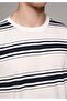 Regular Fit Round Neck Striped Men's White Short Sleeve T-Shirt - 4