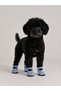 New Season Dog Paw Protective Shoes – Blue Freedom, Waterproof, Non-Slip Sole, 4 Pieces