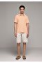 Regular Fit Polo Collar Striped Men's Orange Short Sleeve T-Shirt - 3