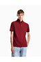 Men's Regular Cut Eagle Logo Embroidered Cotton Pique Fabric Short Sleeve Red Polo Collar T-Shirt
