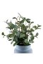 Artificial Eucalyptus In Blue Ceramic Pot 17.78x17.78x27.94cm - Green - 4