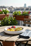 Acar Round Line Detailed Porcelain Dinner Plate 20 cm - 2