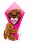 Romantic Apology Gift for Your Sweetheart: One More Chance Plush Bouquet - 2