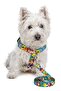 Adjustable Scarf, Chest Harness and Travel Strap Set of 3 - 4