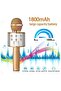 Wireless Bluetooth Karaoke Microphone Machine, Portable Handheld Speaker for Kids Adults Home KTV Party - 3