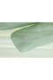 Crew Neck Ruffled Front Lined Voile Suit with Elastic Sleeves - Water Green - 6