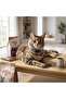 Adjustable, Clip-On, and Bell Collar for Cat and Dog - 6