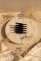 Black Shiny Design Hair Clip Stylish and Convenient Hair Accessory for Women - 5