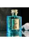 The Freya 100ML - EDP - Luxurious Long-Lasting Fragrance for Women - Premium Floral and Musk Scent - 4