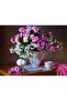 5D Diamond Bead Stone Embroidery Mosaic Tapestry Kit 50X65Cm Sgk79664 Diamond Painting