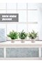 3 Pack Mini Potted Fake Plants Artificial Plastic Eucalyptus Plants for Home Office Desk Room Decoration - 5
