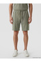 Classic Green Standard Fit Men's Shorts - 2