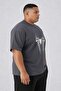 Large Size Men's Oversize Spider Printed Crew Neck T-Shirt - 2
