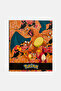 Charmander Evolution A4 Ring Binder, Multicolor