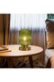 Mid-century Modern Spherical Glass Table Lamp – Dimmable Green Pumpkin Lamp (Ribbed Glass) - 5