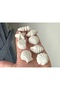 8-Piece Sea Shells Star Mussel Oyster, Sea-Themed Silicone Mold K-1587, Stone Powder Gypsum Candle Soap Mold - 4