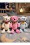 45cm Sweet Little Teddy Bear & Pitikare Teddy Bear with Scarf - 5