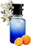Oil-Based Perfume for Women – Inspired by 212 Nice Pills Womeen – Alcohol-Free Floral Citrus Women’s Fragrance – Orange, Rose & Musk Notes – 4–6 Hr Casual Daytime Scent (30 ML)