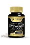 Wellness Labs Himalayan Shilajit Capsules for Men - 1500Mg