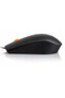 Mouse USB 300