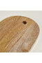Nohar Mango Tree - Resin Presentation Board 20 cm - 5