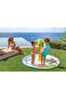 Palm Tree Spray Pool - 5