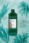Sebum Balancing Purifying Shampoo for Oily Hair Vegan 300 ml - 2