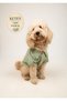 Cat and Dog Outfit Shirt Linen & 100% Cotton Dog Outfit