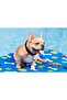 Fetchin' Fun Pet Pool Float - 5